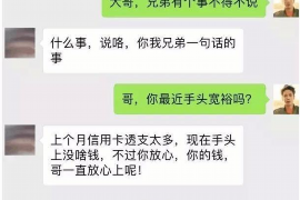 桑植桑植专业催债公司，专业催收